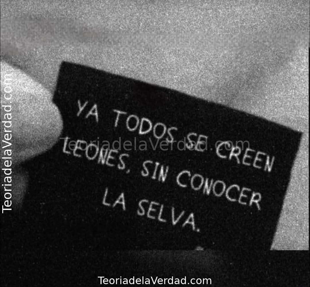 La Ley de la Selva: Por Qué No Puedes Ser un León sin Conocer la Experiencia de la Lucha