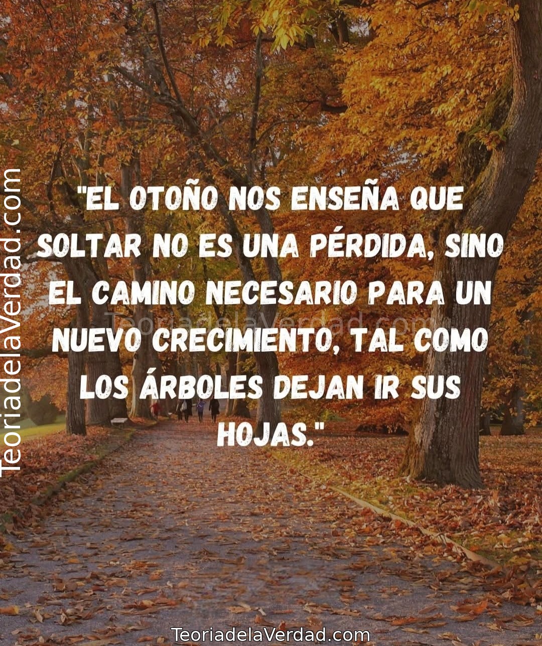 Lección de Otoño: Por Qué Soltar Es el Camino Necesario para el Nuevo Crecimiento