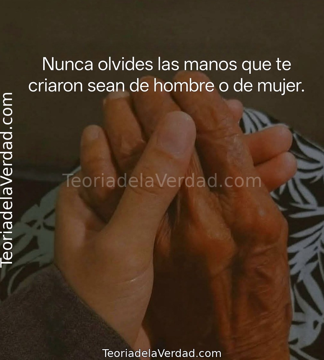 Nunca Olvides Las Manos Que Te Criaron: La Importancia de la Gratitud y el Homenaje a Tu Origen