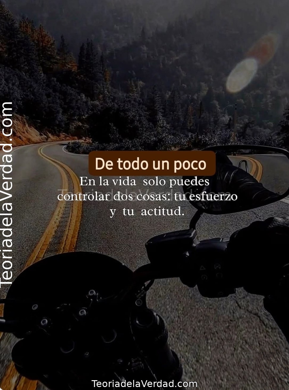 Tu Esfuerzo. Tu Actitud. El Resto es Ruido