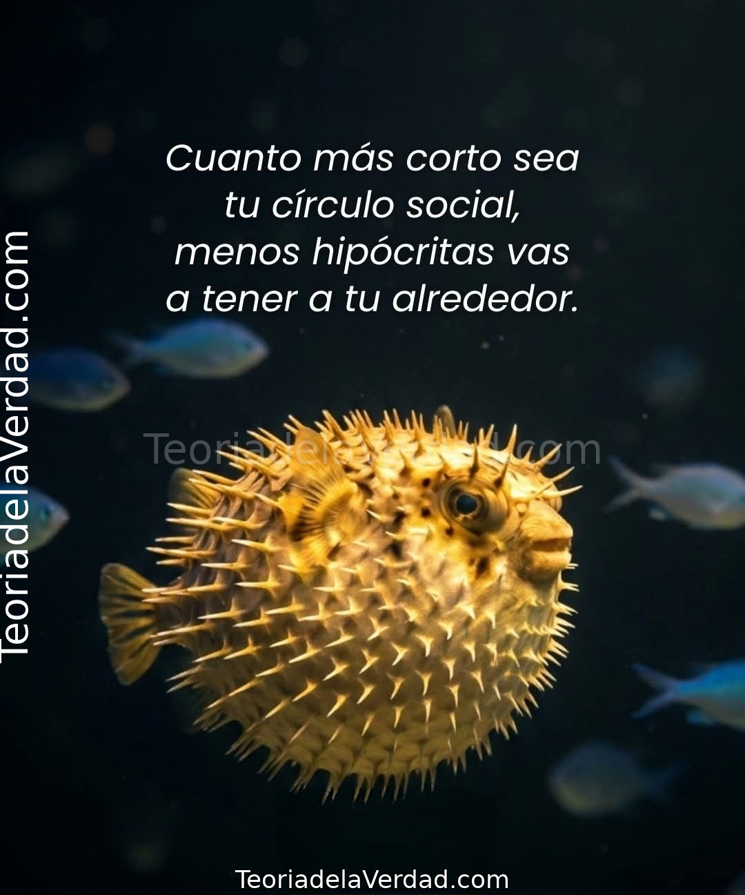 Cuanto más corto sea tu círculo social, menos hipócritas vas a tener a tu alrededor.
