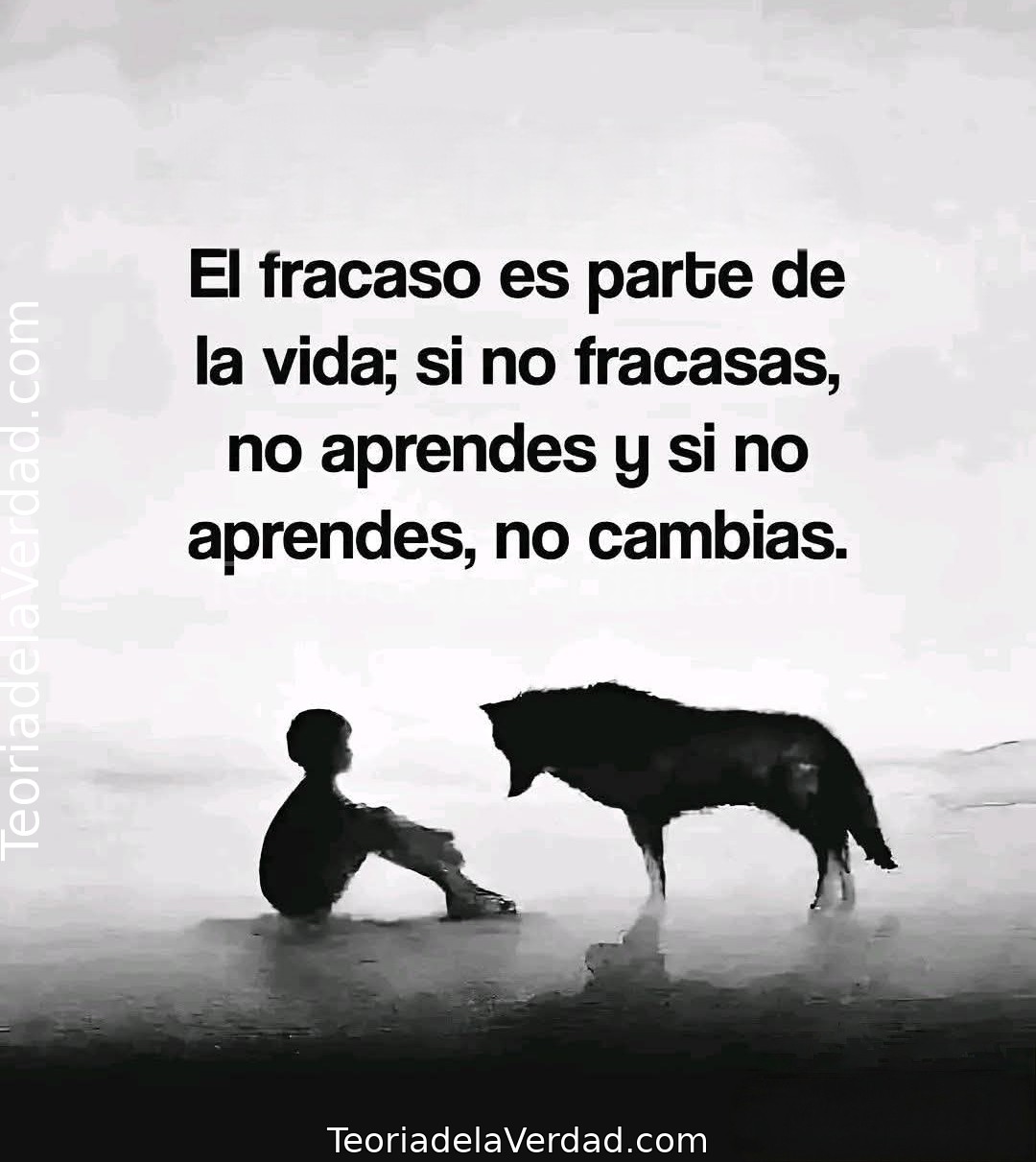 El fracaso es parte de la vida; si no fracasas, no aprendes y si no aprendes, no cambias.