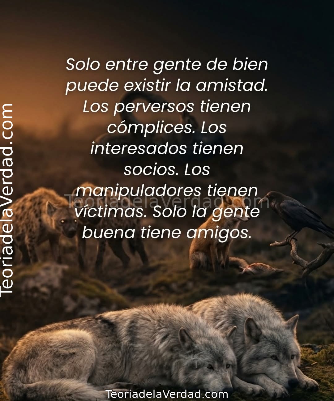 Solo entre gente de bien puede existir la amistad. Los perversos tienen cómplices. Los interesados tienen socios. Los manipuladores tienen víctimas. Solo la gente buena tiene amigos.