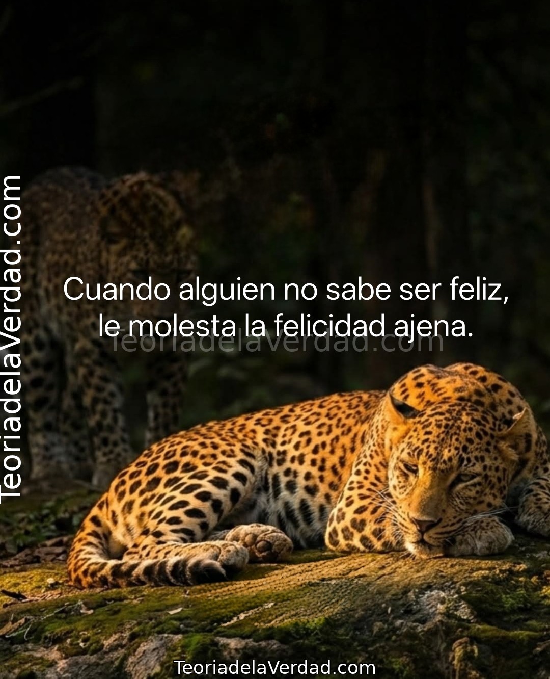 Cuando alguien no sabe ser feliz, le molesta la felicidad ajena.