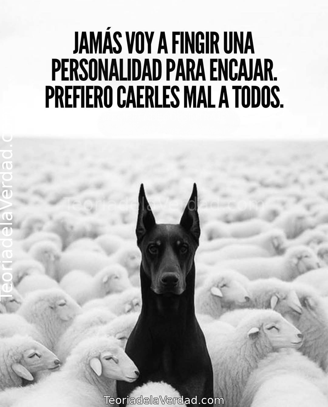 JAMÁS VOY A FINGIR UNA PERSONALIDAD PARA ENCAJAR. PREFIERO CAERLES MAL A TODOS.