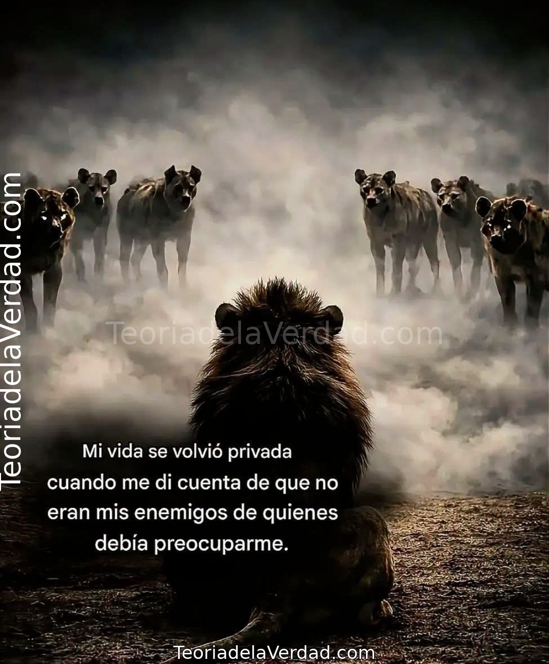 Mi vida se volvió privada cuando me di cuenta de que no eran mis enemigos de quienes debía preocuparme.