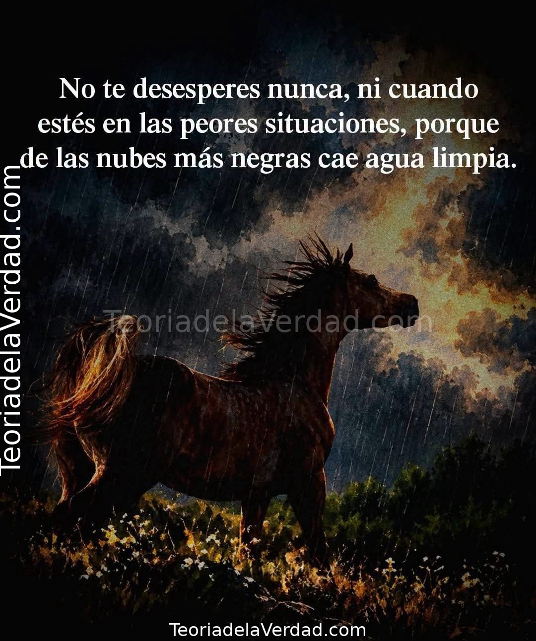 DE LAS NUBES MÁS NEGRAS TAMBIÉN CAE AGUA LIMPIA.
