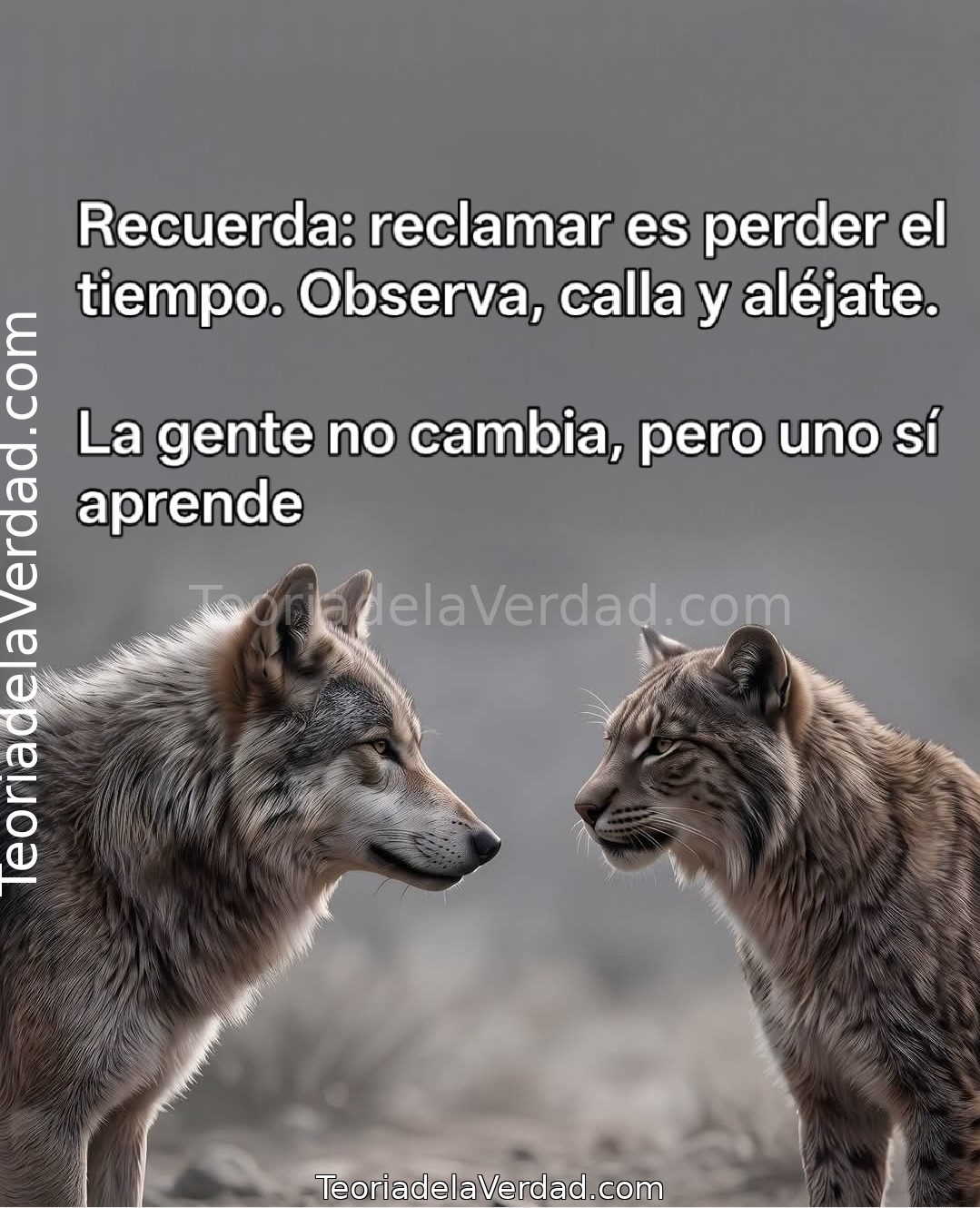 EL ARTE DE CALLAR, OBSERVAR Y ALEJARSE 🧘‍♂️🔥