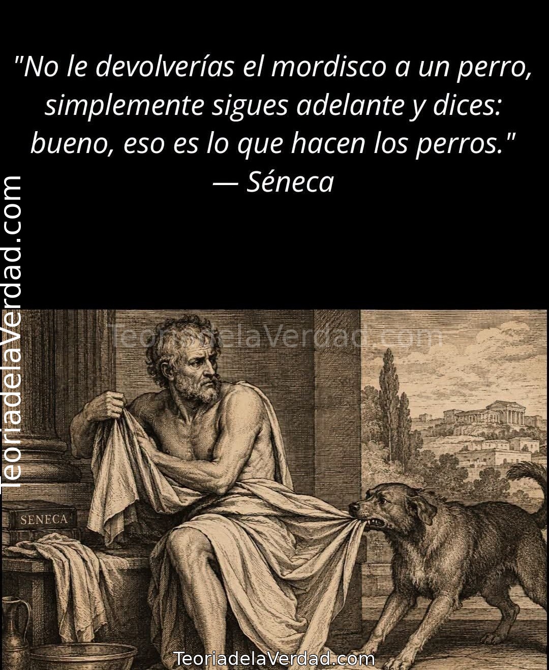 NO TE PONGAS AL NIVEL DE QUIEN NO TIENE CRITERIO 🏛️